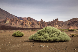 Adrar And Tagant Tour